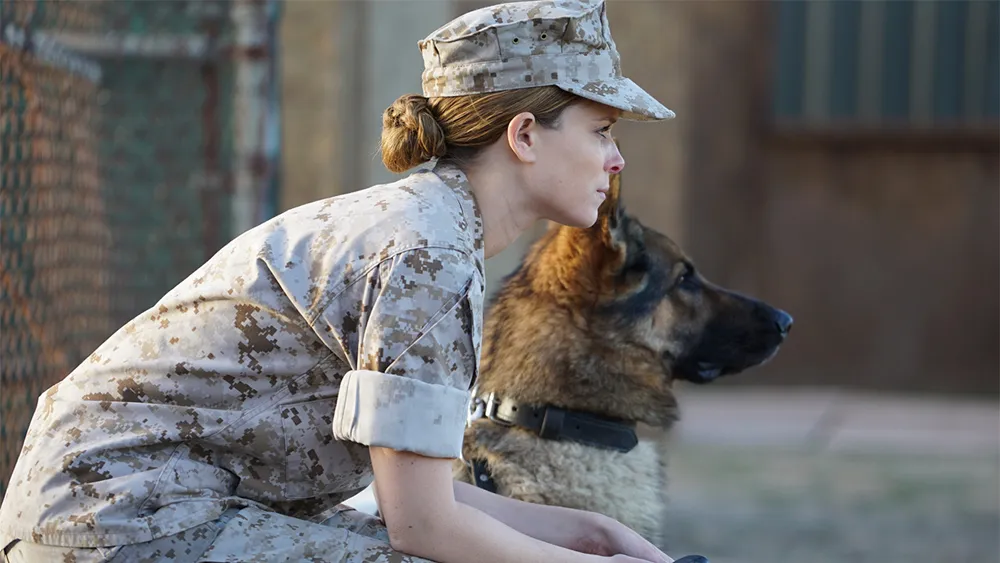 Megan Leavey Husband: Insights into Matt Leavey Life